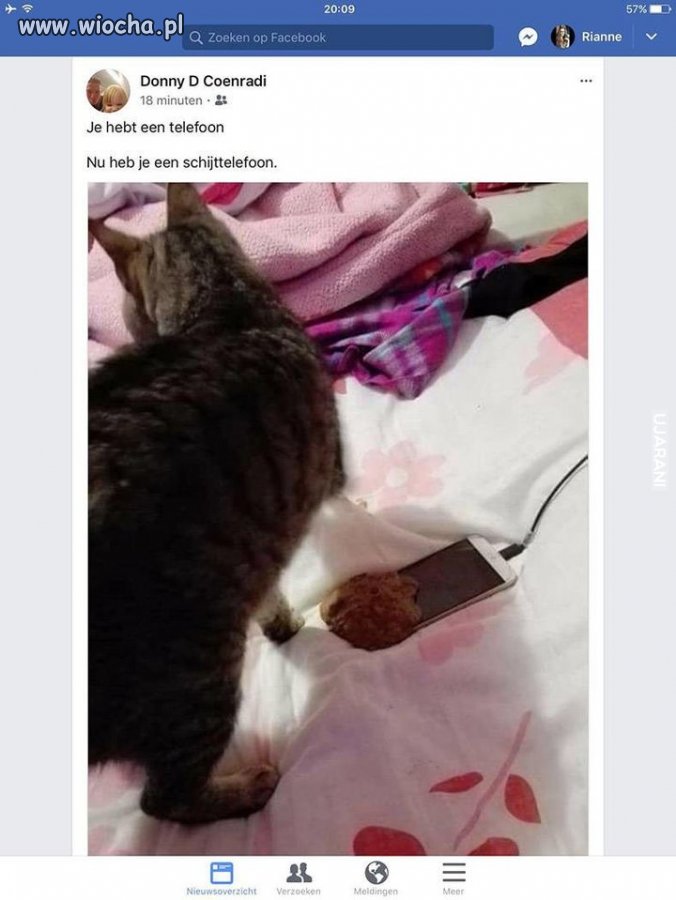 Za mało miziasz,za dużo gadasz
