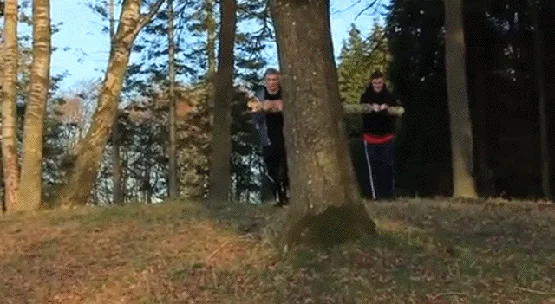 Idioci.