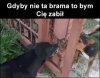 Pyskówki w sieci...