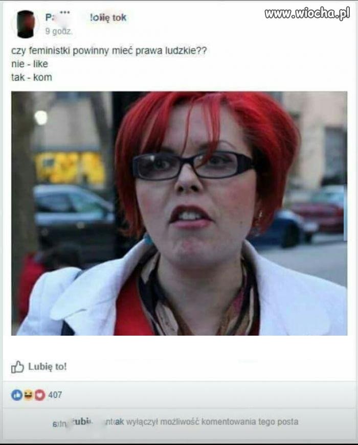 Feministki