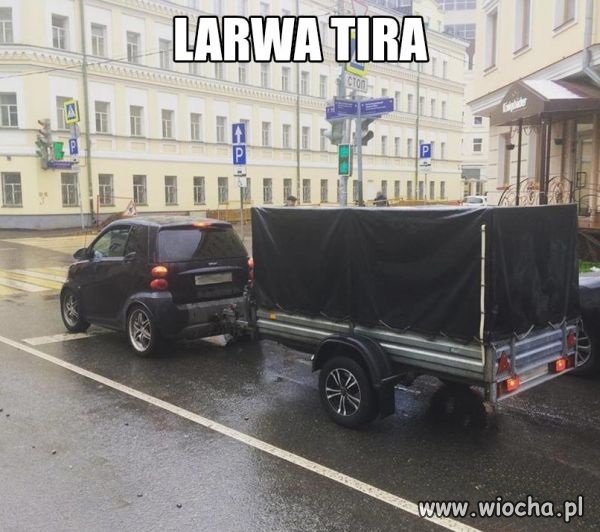  TIR  