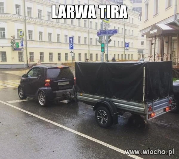  TIR  