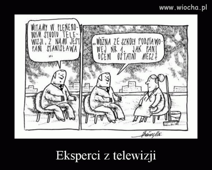 Telewizyjni eksperci