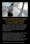 Czarna stonka ma teraz żniwa ...