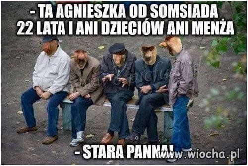 Rozmówki 