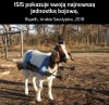 ISIS pokazuje swoją najnowszą jednostkę bojową...