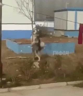 Jak najdzie ochota