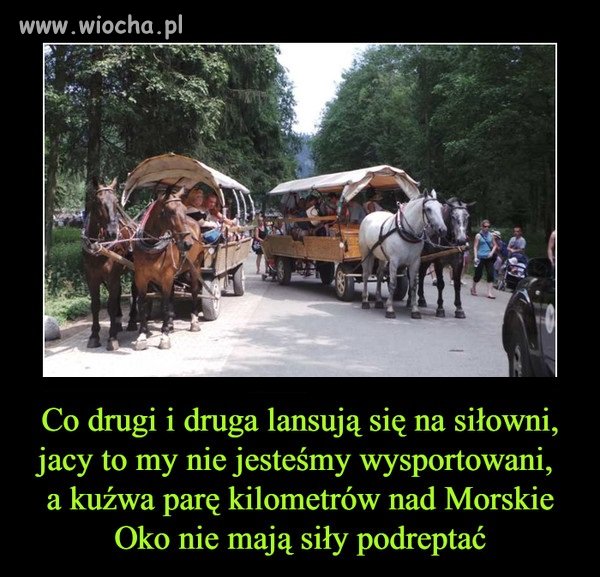 Powinni jednoznacznie zabronić tych kursów. 