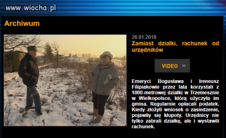 Urzędnicy psia mać