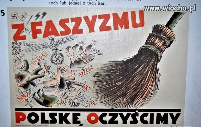 Głąby leśne nie rozumieją historii