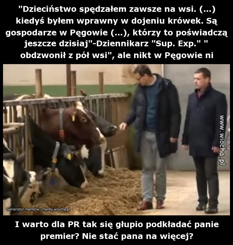 Samozaoranie level expert