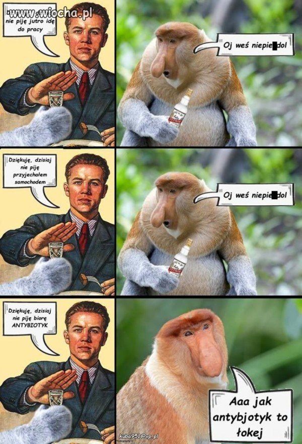Antybiotyk 
