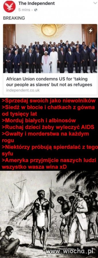 Nibbasy takje są