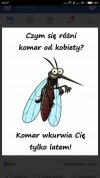 Komar