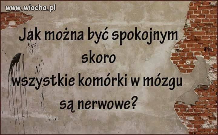 Tak na noc