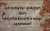 Tak na noc