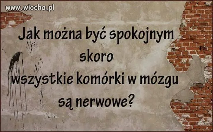 Tak na noc