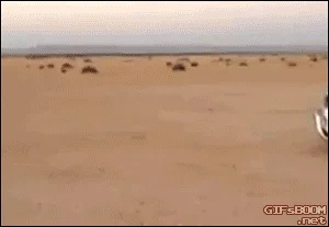 Ha ha ha. 