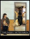 Zły weterynarz