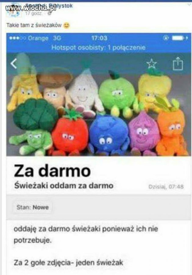 Promocja