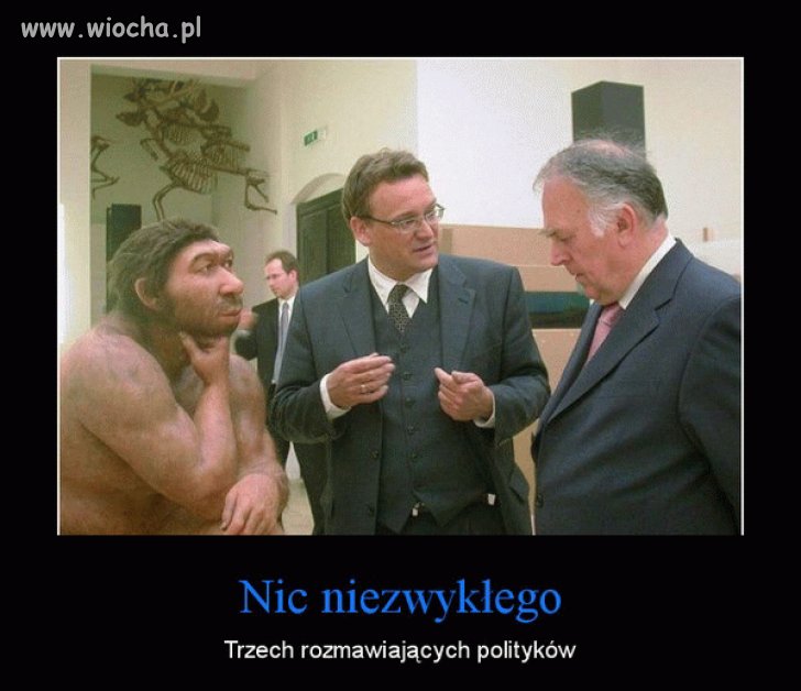Ciekawe nad czym tak rozmyślają?