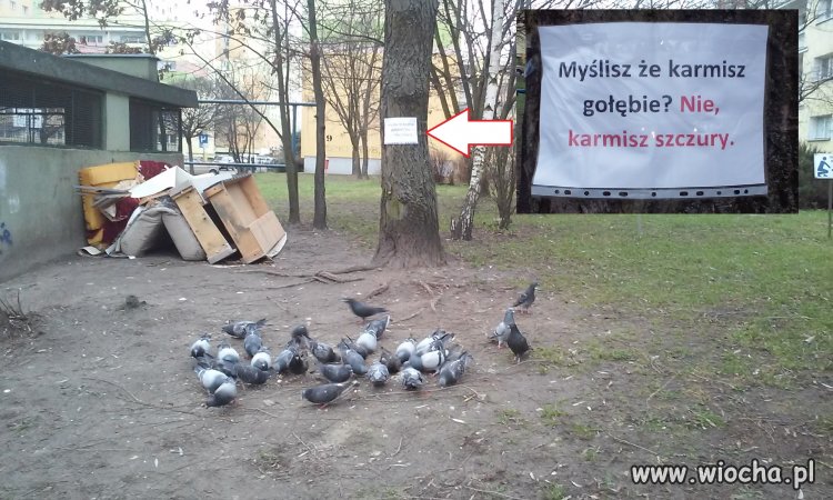 Ale na wiele takie apele się nie zdają...
