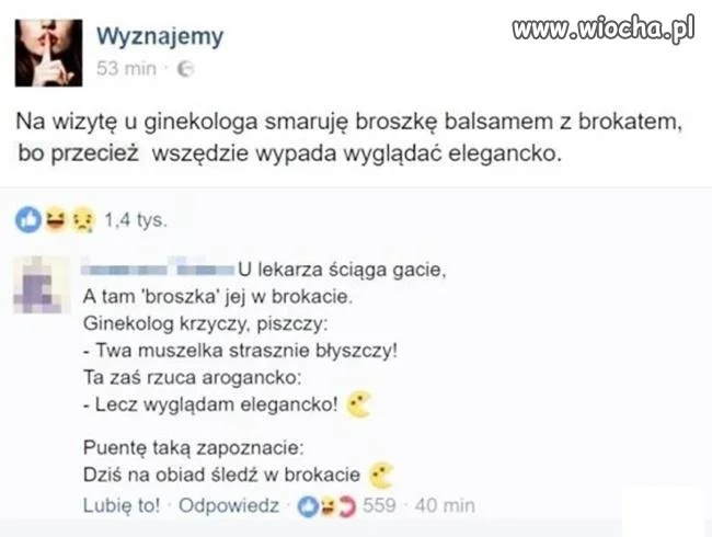 Mistrz komentarza