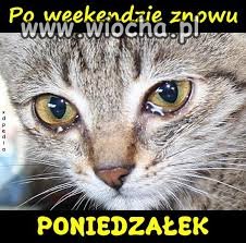 Niestety...