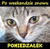 Niestety...