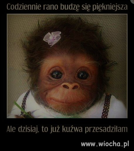 Najważniejsze to nigdy nie 