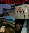Prank