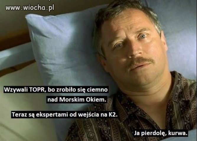 Znawcy, fachowcy i eksperci