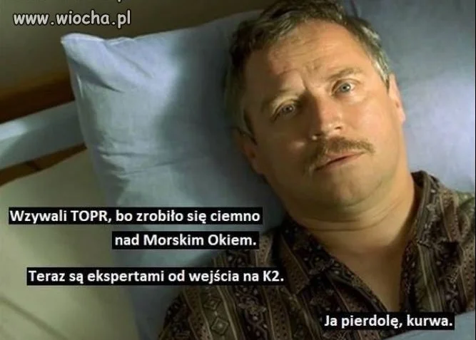 Znawcy, fachowcy i eksperci