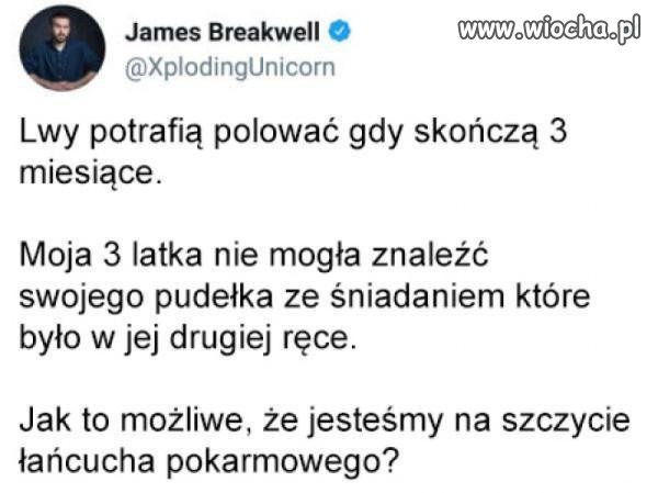 Dobre pytanie