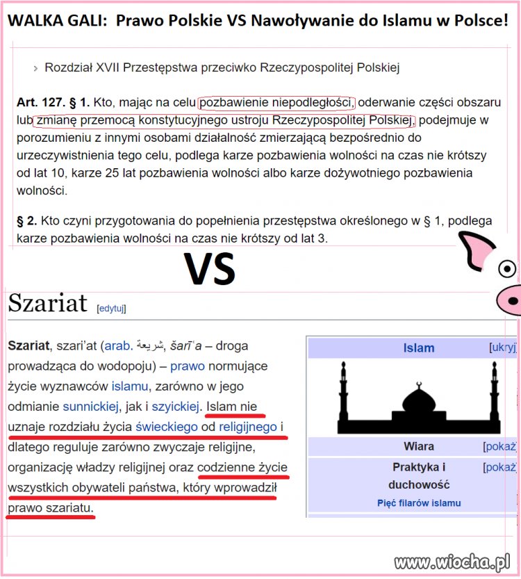 Nie jestem macanosem żeby znać się na prawie