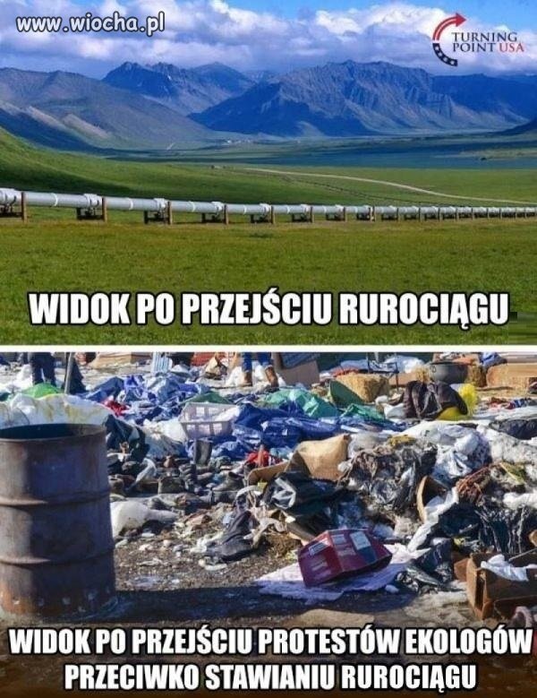 Ekologia starter pack