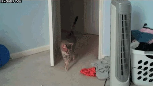 Uauuu...