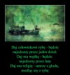 Daj tylko to