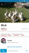 Gensi