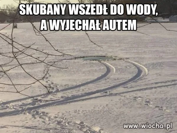 Skubany