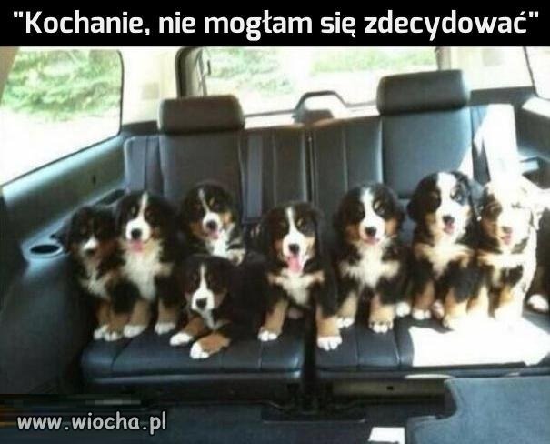 Kobiety takie są
