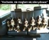 Kobiety takie są