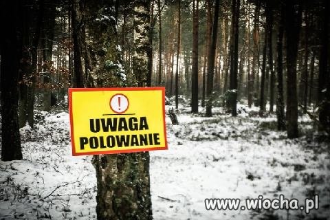 Polska pod dyktatem partii myśliwych?