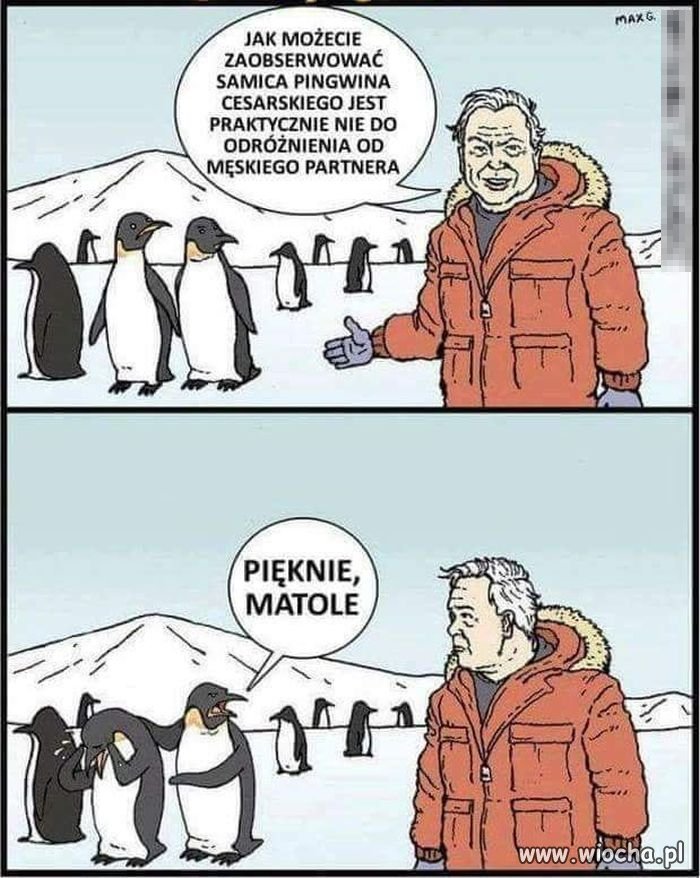Psychika kobieca