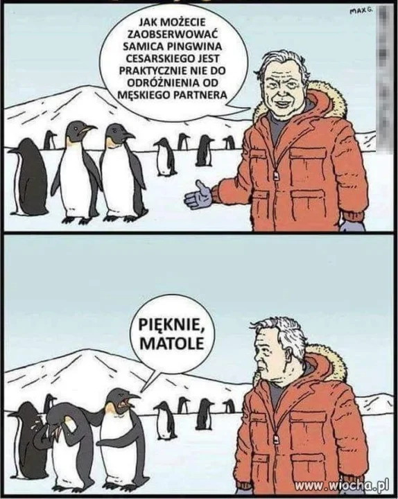 Psychika kobieca