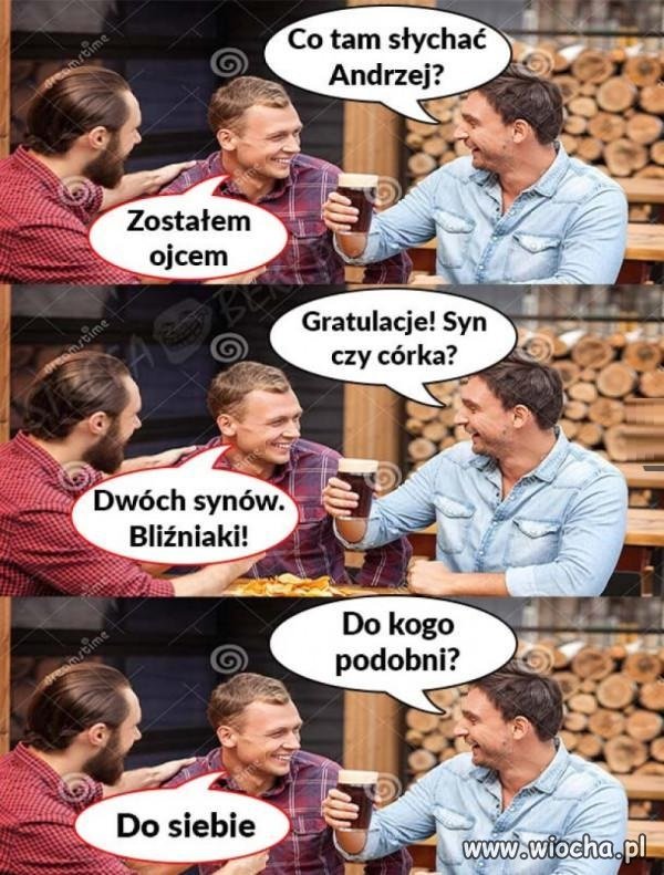 No logiczne