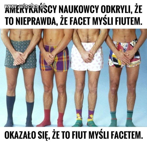 Wszystko