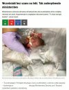 Trzeba donosić...