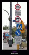 Tylko w Polsce