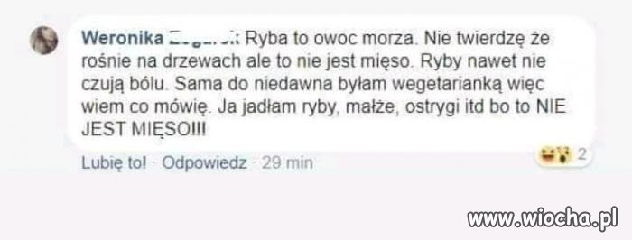 Ryby